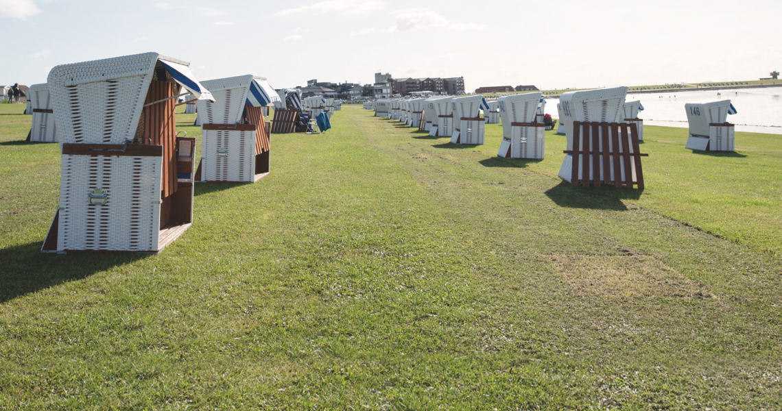 SoVD - weiße Strandkörbe auf einer Wiese am Wasser