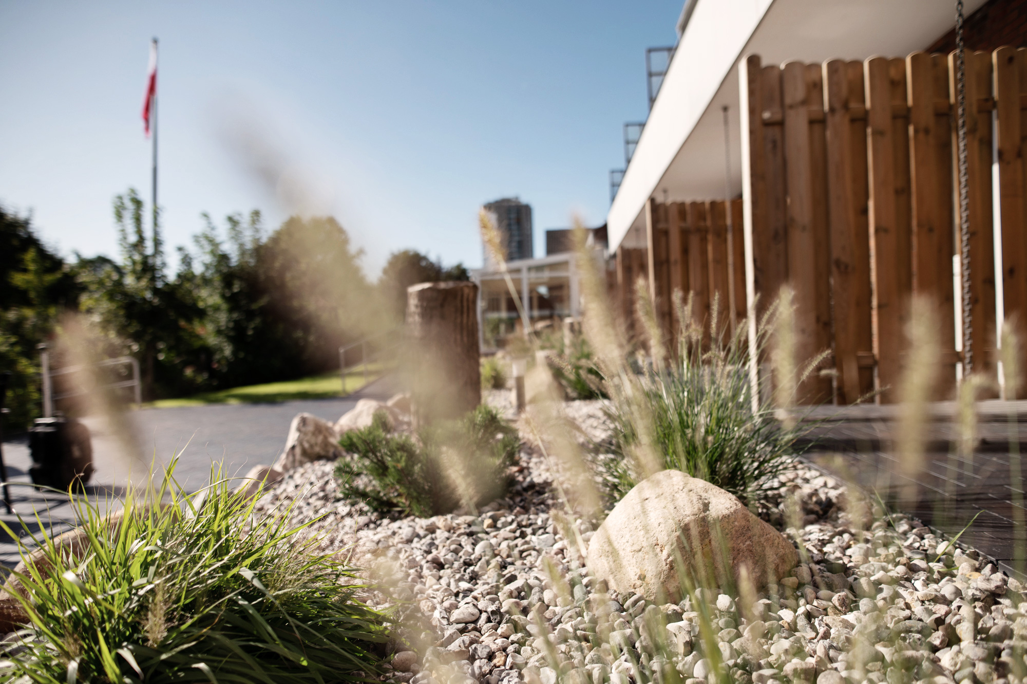 SoVD - Außenbereich mit Planzen und Terrassen